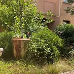 Résidence De Gamme - 45m2 Refait à Neuf En Juin 2024 Avec Très Grande Piscine Chauffée *